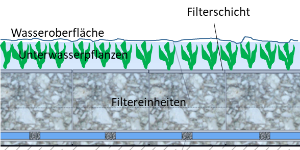Geplante Filterschicht bepflanzt 