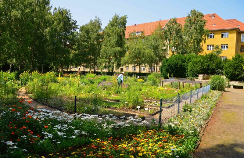 Botanischer Lehrgarten auf dem Brixplatz