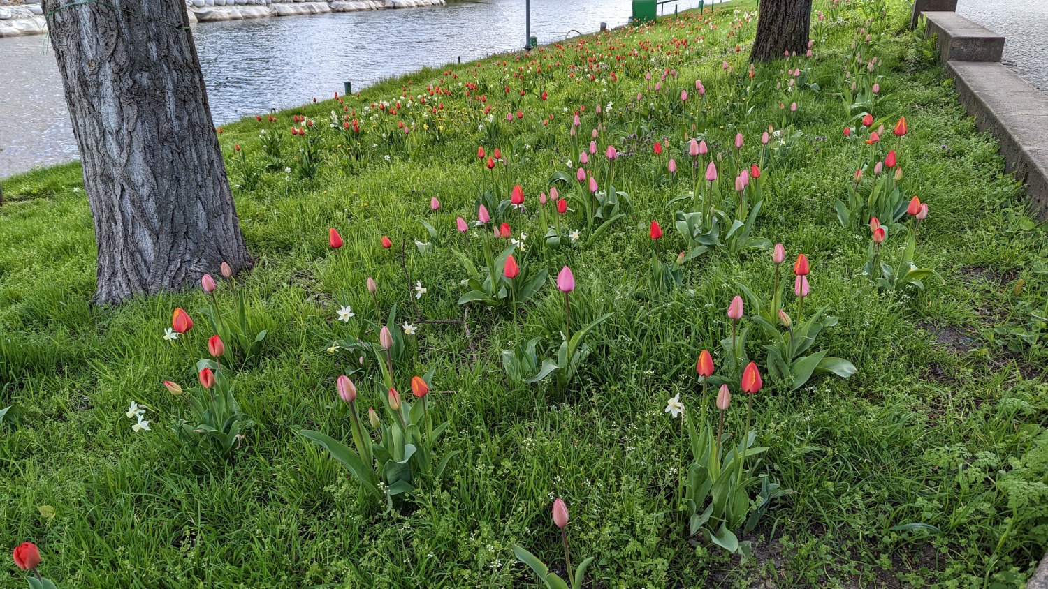 Frühling in Nord-Charlottenburg