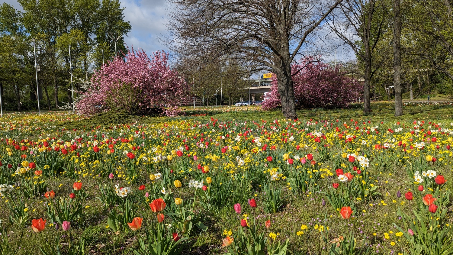 Frühling in Bord-Charlottenburg