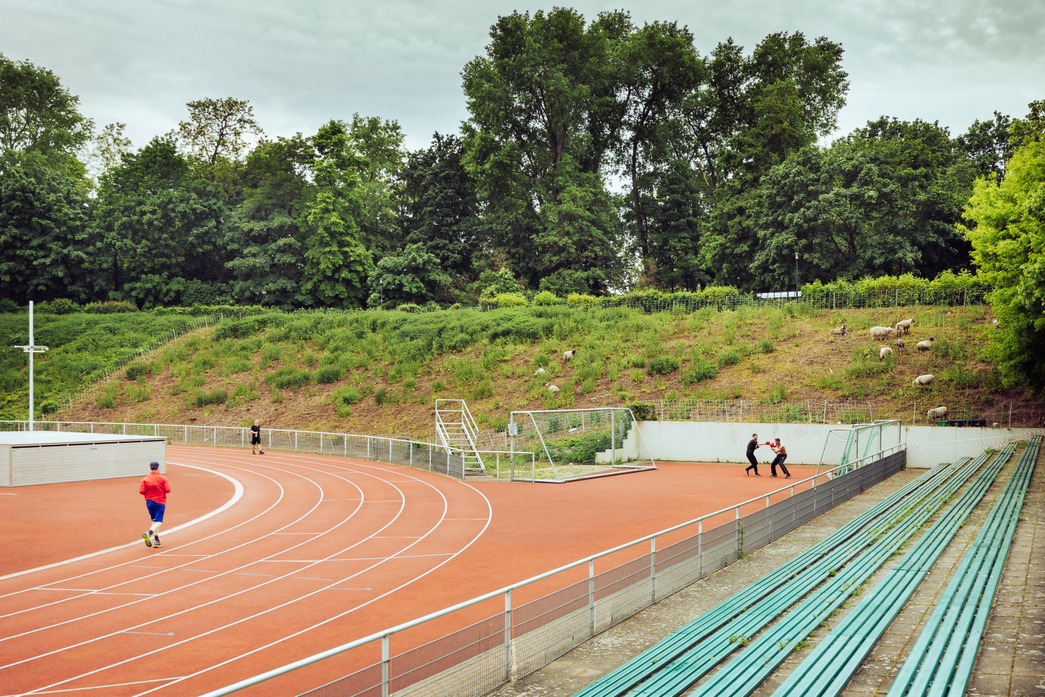 Im Vordergrund werden verschiedene Sportarten im Stadion Wilmersdorf ausgeübt, im Hintergrund weiden Schafe auf der Böschung.