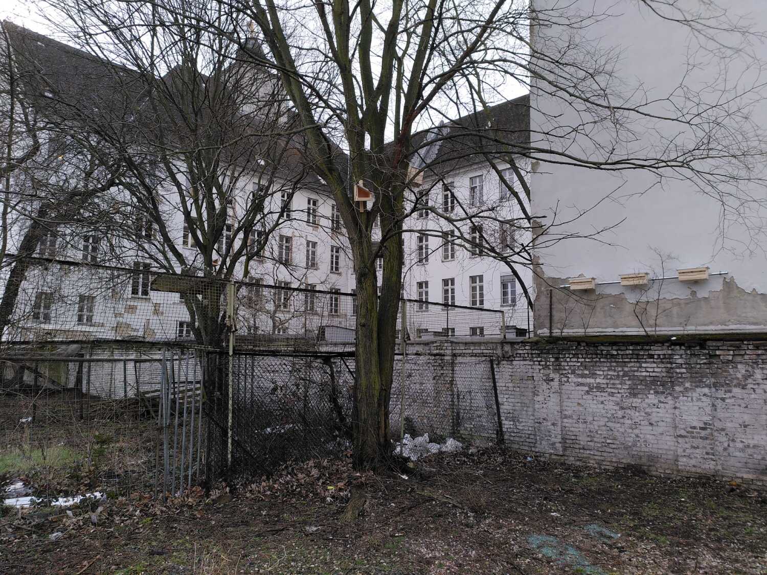Nistkästen für Frei- und Gebäudebrüter am Rathaus Kreuzberg