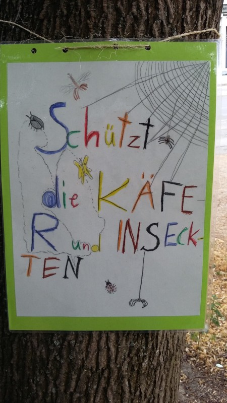 Kinderzeichnung: Insekten brauchen auch Platz! 