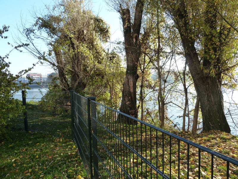 ein Zaun entlang der Uferlinie ist entstanden