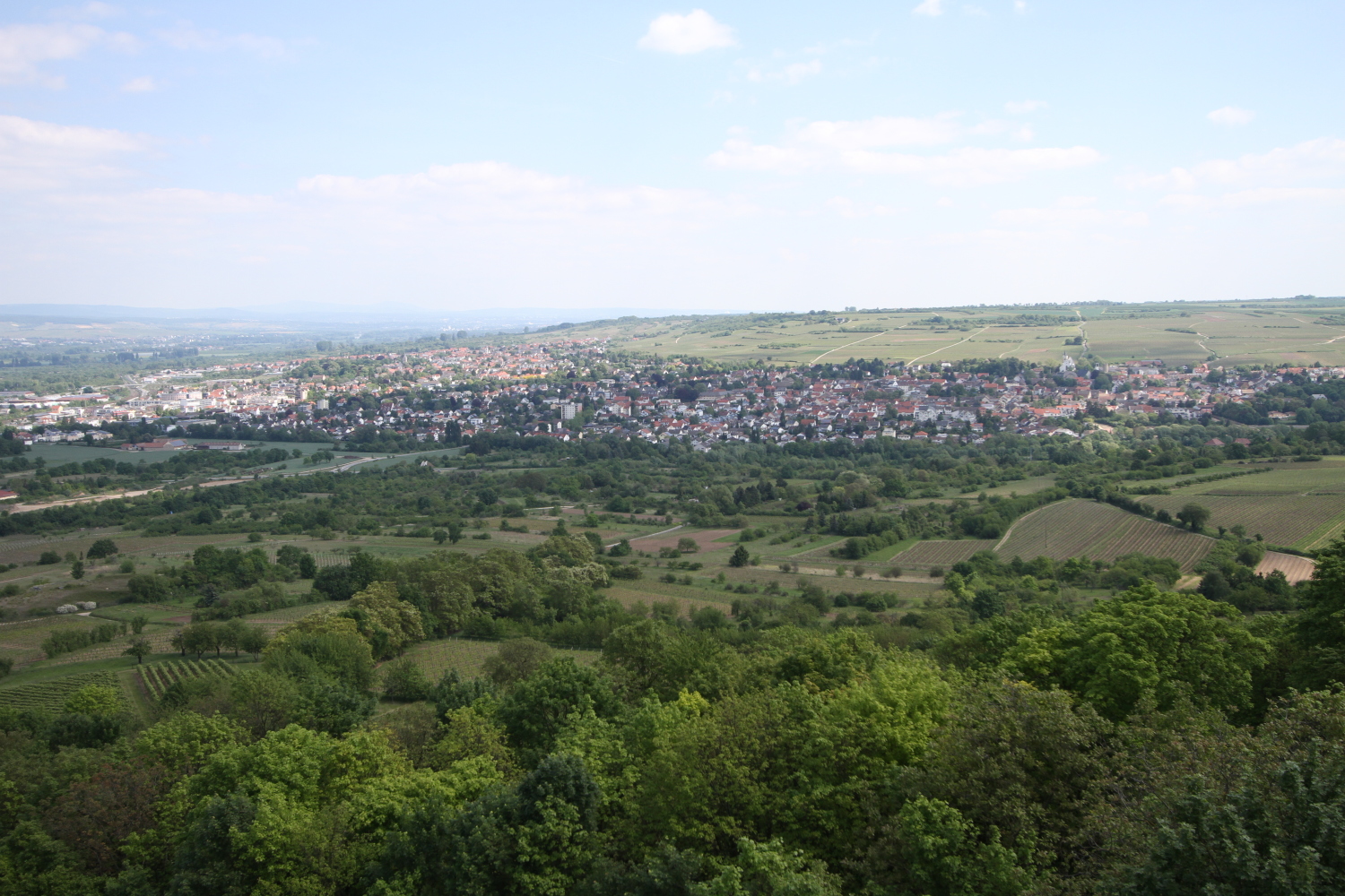 Panorama Ingelheim