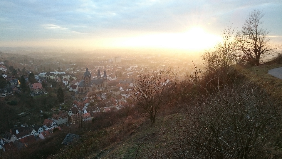 Panoramablick auf Heppenheim.