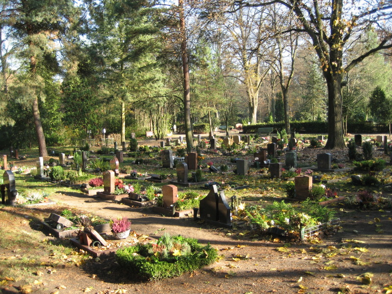 Bepflanzte Grabestellen Urnenwahl Friedhof In den Kisseln