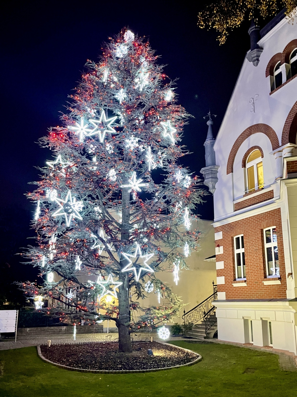 Weihnachtsbaum vor Wohnhaus in der Königsberger Straße