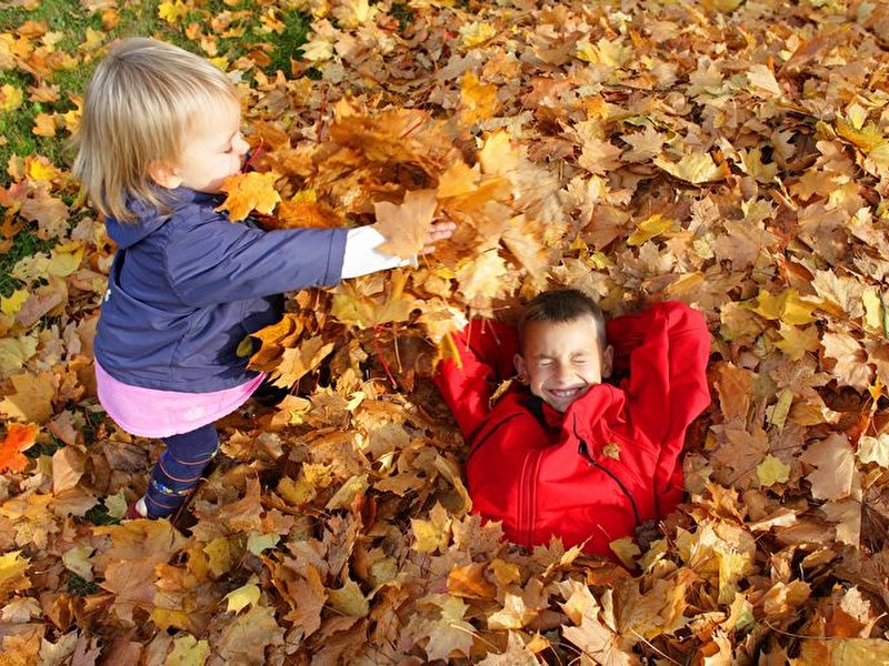 Herbstausflug mit Kindern