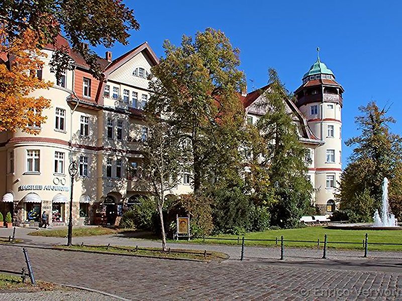 Herbst in Zehlendorf
