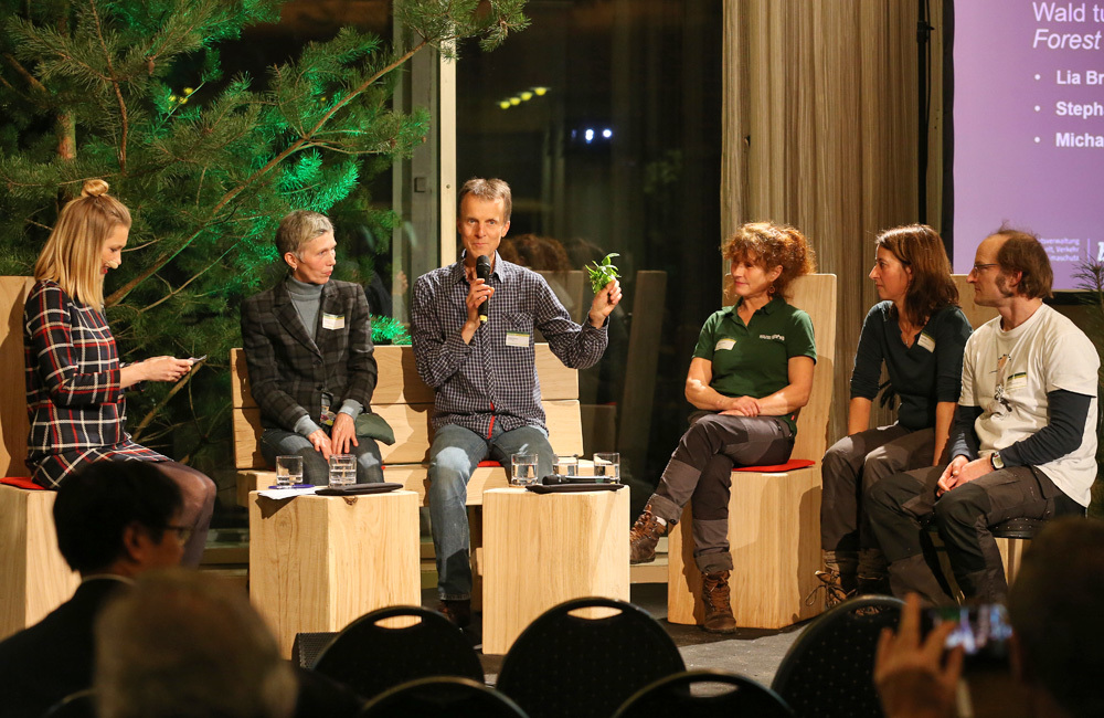 Interview: Wald tut gut, aber warum ist das so? Im Gespräch mit den Praktikern Lia Braun, Stephan Engelhardt, Michaela Tiedt-Quandt und den Berliner Waldschulen