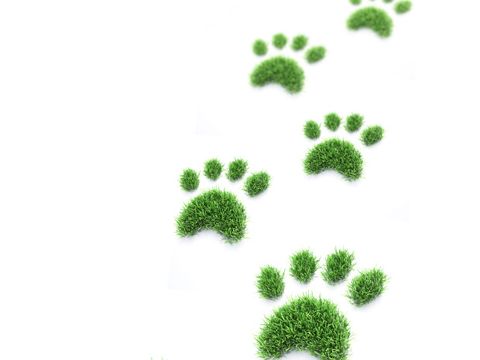Grüne Grasflächen in Form von Pfotenabdrücken eines Tieres