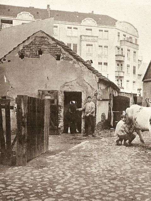 Alt- und Neu-Wilmersdort nördlich der Berliner Straße um 1906