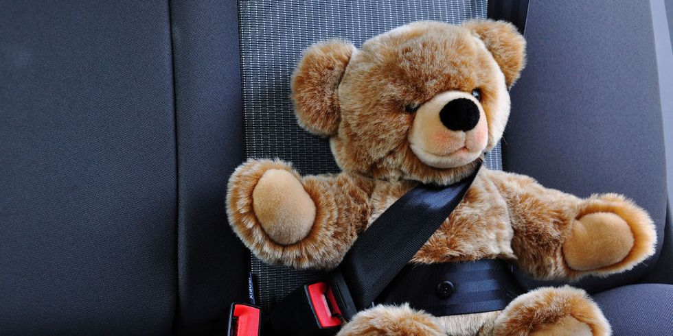 Ein Teddy sitzt angeschnallt auf der hinteren Sitzbank eines PKW.