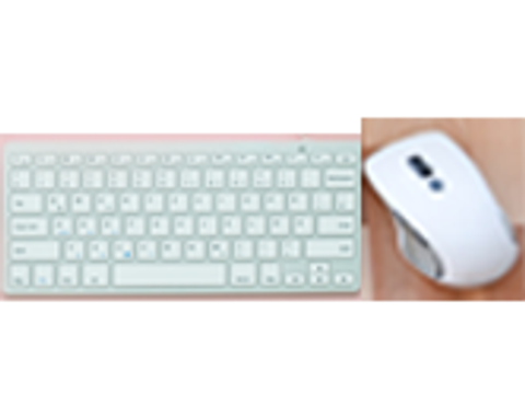 Fotos einer Computer-Tastatur und einer Computer-Maus