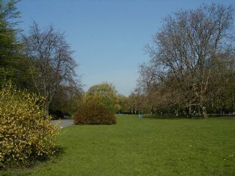 Liegewiese Volkspark Wilmersdorf