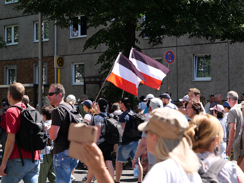 Demonstrationszug mit schwarz-weiß-roten Reichsfahnen