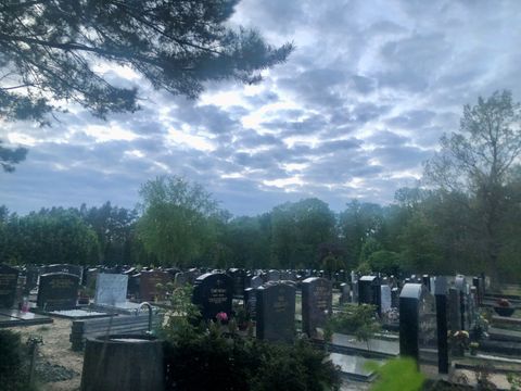 Blick über die Gräber des Friedhofs.