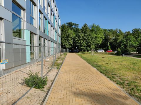 Pflasterweg zwischen modernen Fassade und Grünfläche