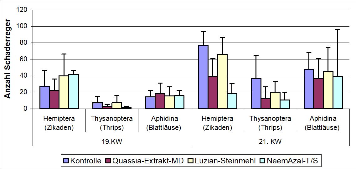 Bildvergrößerung: Abb.2: Zur Wirkung einer dreifachen Behandlung von Luzian-Steinmehl, Quassia-Extrakt und NeemAzal-T/S auf die Populationsentwicklung von Zikaden, Thripsen und Blattläusen in Kräutern, Berlin, 2008