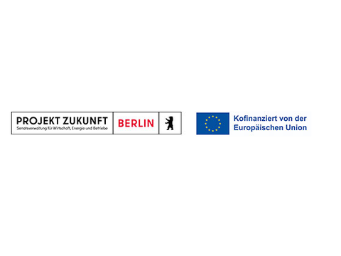 Logo Projekt Zukunft Kofinanziert von der Europäischen Union