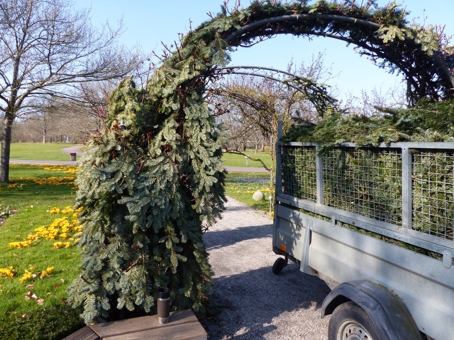 Britzer Garten: der Winterschutz im Rosengarten wird entfernt