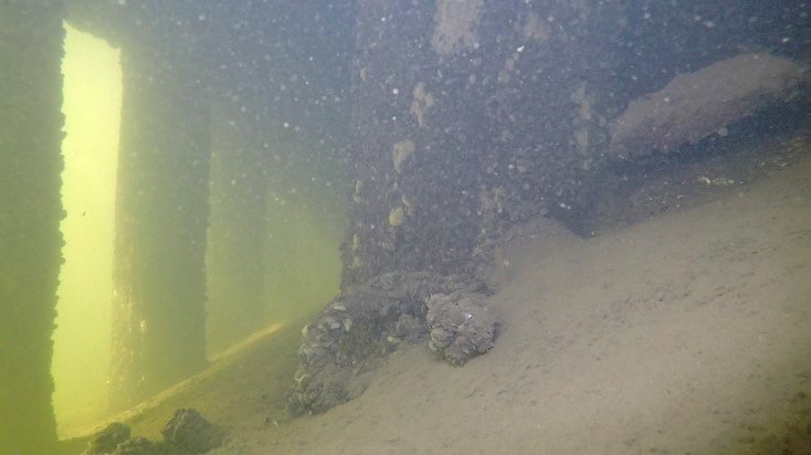 Visuelle Untersuchung unter Wasser 2019