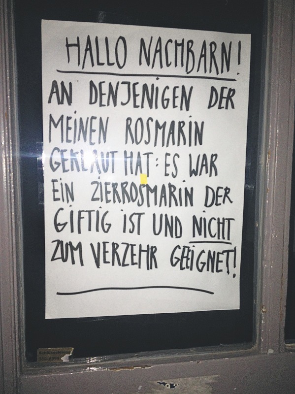 Ein Zettel mit einem Hinweis an den Dieb eines Zierrosmarins, dass dieser nicht essbar ist.