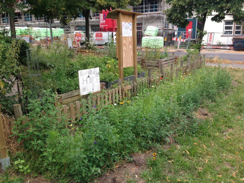 Garten der Paula-Fürst-Schule am Kracauerplatz_2019