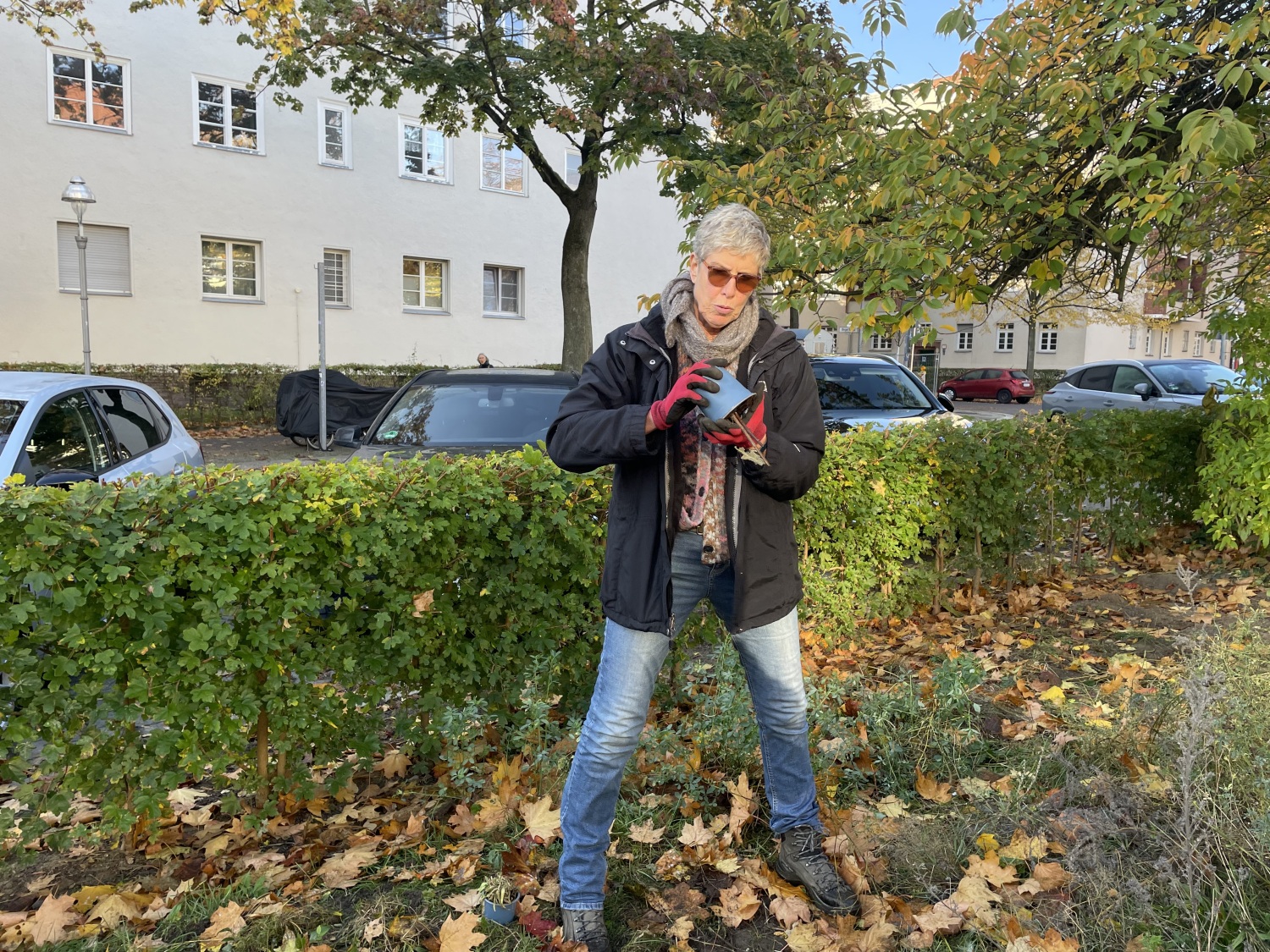 Wildstaudenpflanzung am Platz an der Eberbacher Straße