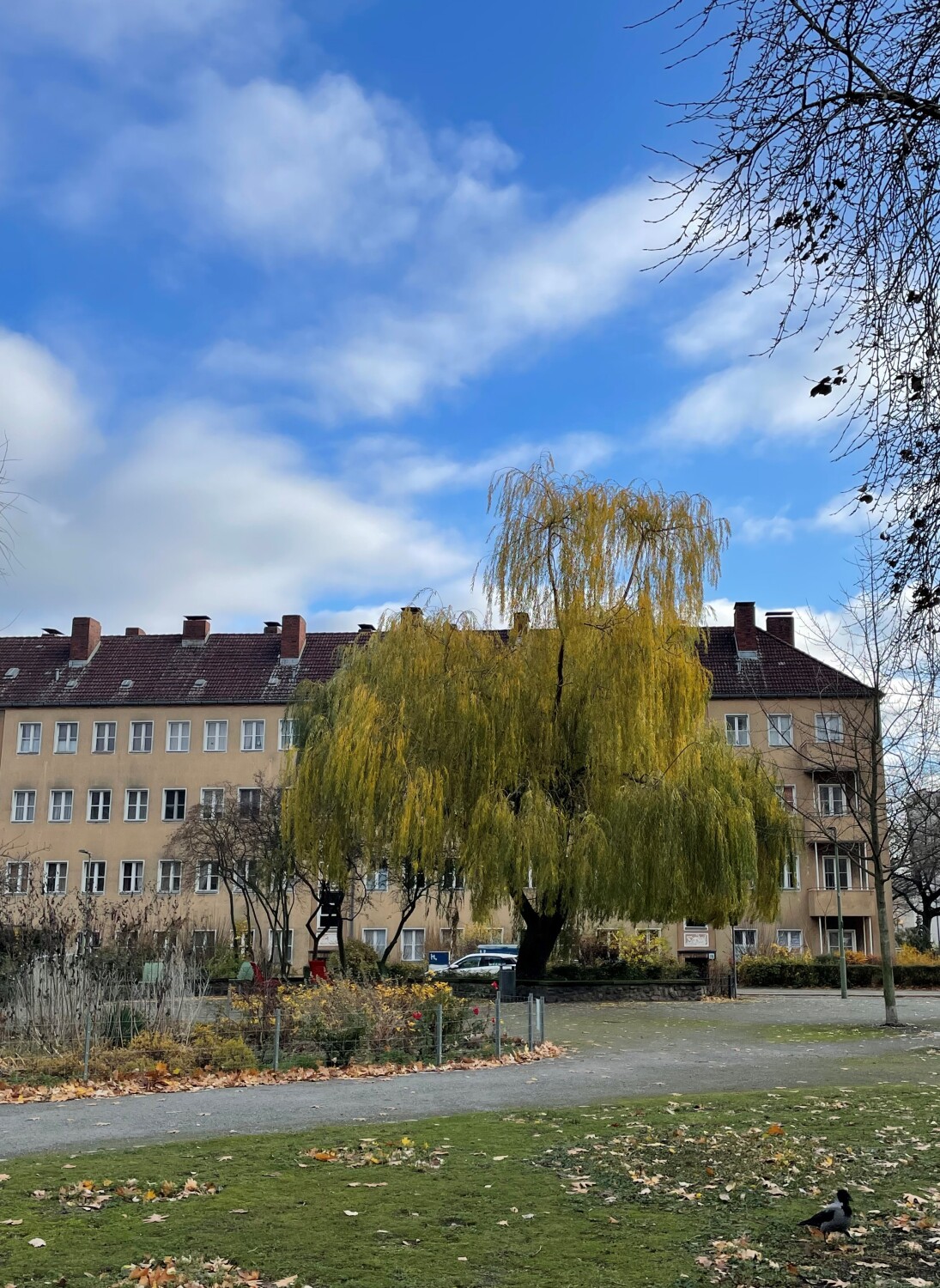 Goebelplatz