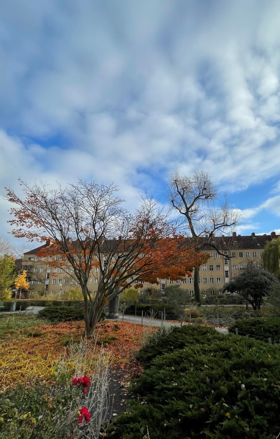 Goebelplatz