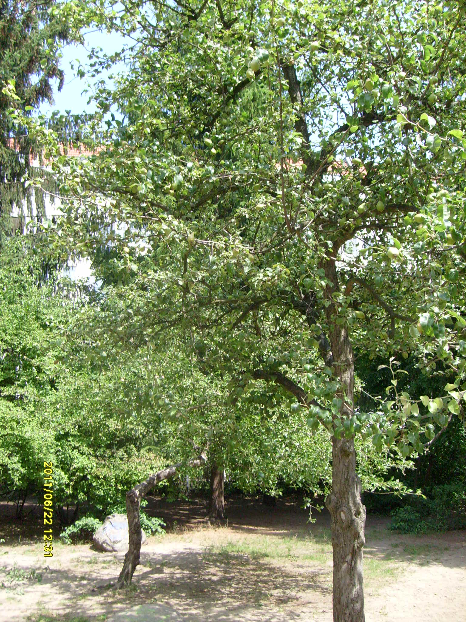  Spielplatz Homburger Straße 14