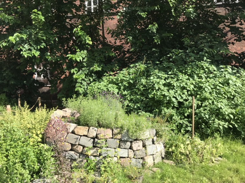 Kräuterspirale im Schulgarten des Gottfried-Keller-Gymnasiums_2019