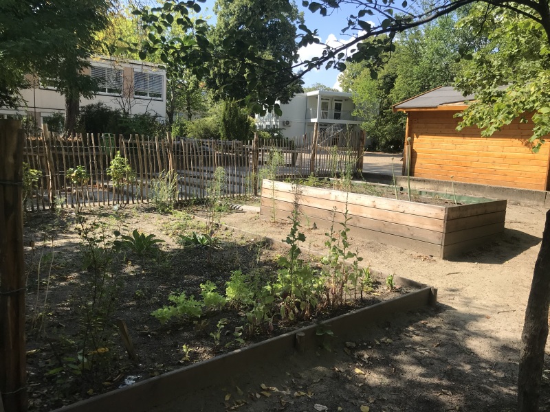 bepflanzte Beete im Schulgarten an der Eichendorff-Grundschule_2020