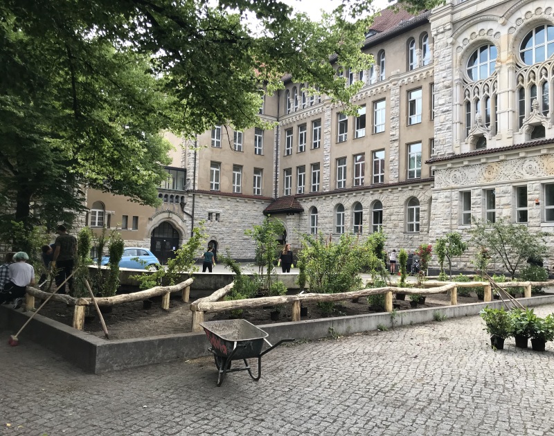 Schülerinnen und Schüler bepflanzen den Nasch- und Lehrgarten am Goethe-Gymnasium_2020