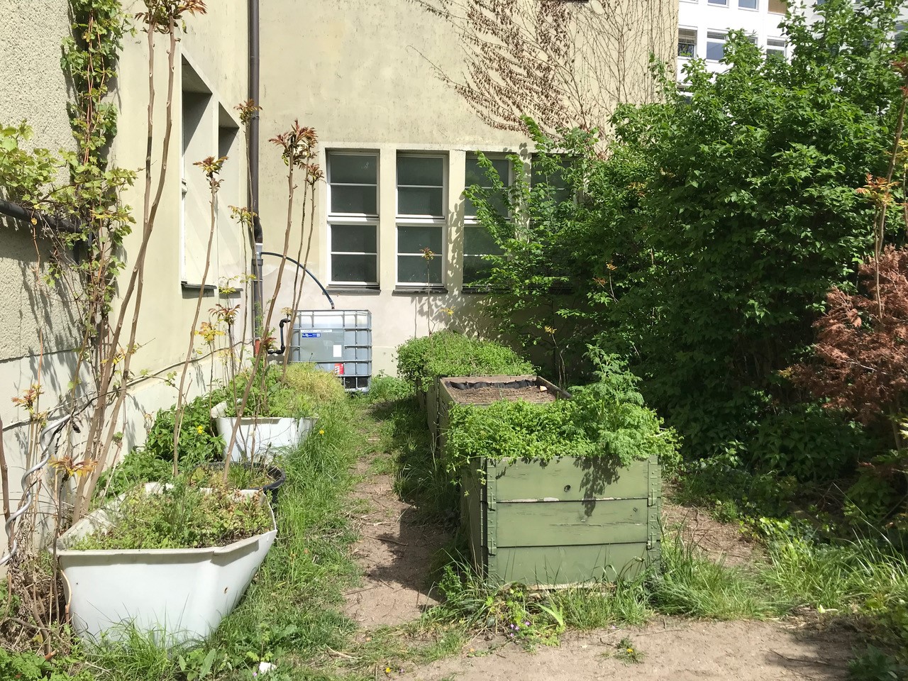 verschiedene Hochbeete und Bewässerungstank am Schiller-Gymnasium im Mai 2023