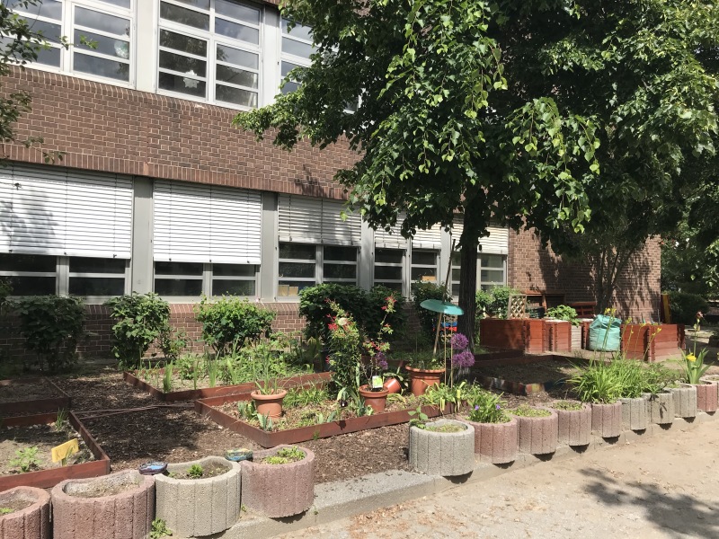 Boden- und Hochbeete im Schulgarten der Mierendorff-Grundschule_2020