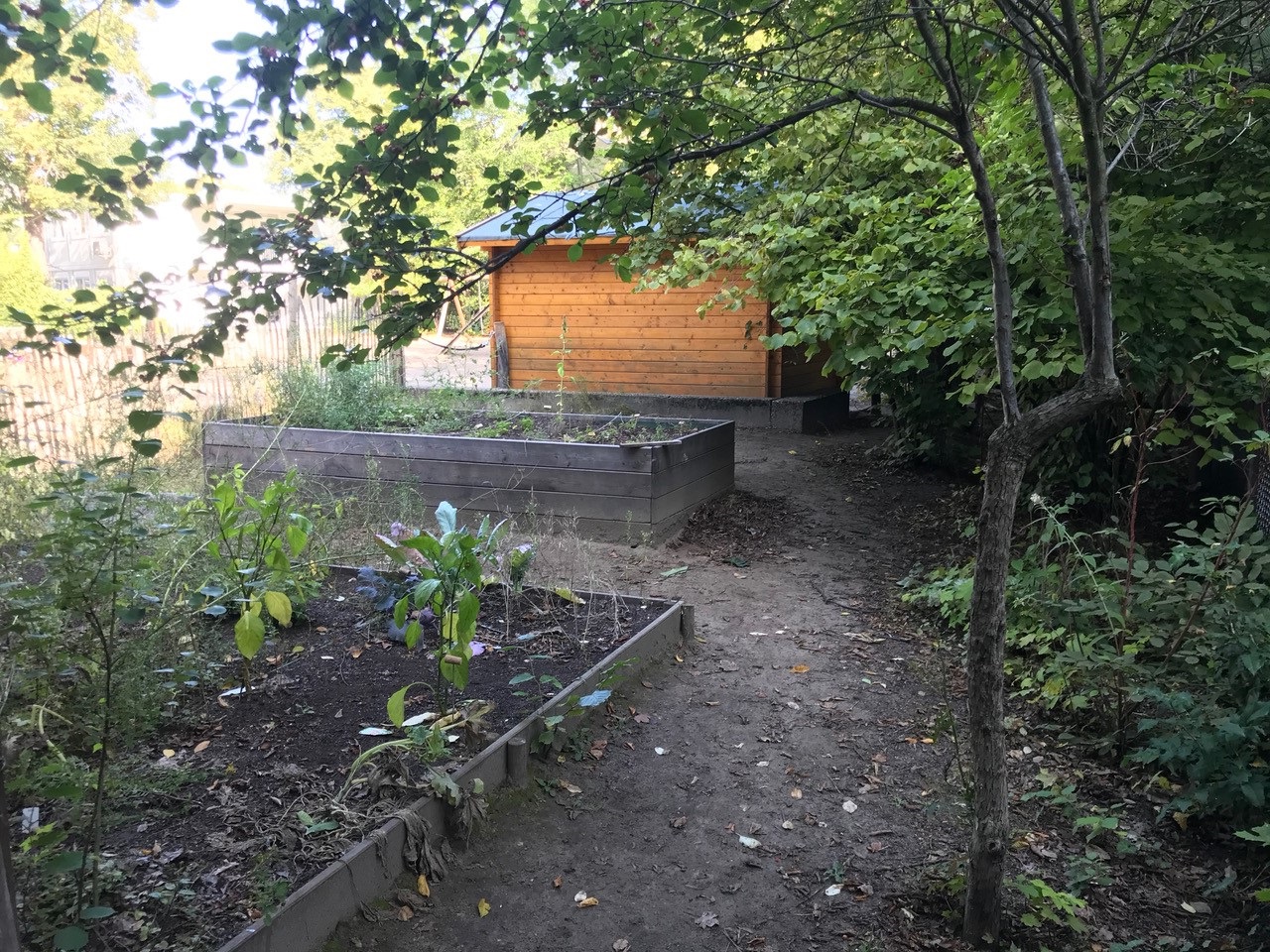 bepflanzte Beete im Schulgarten der Eichendorff-Grundschule im September 2021