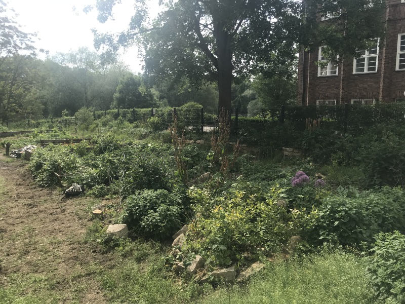 Gemüsebeete in Mischkultur im SeeGarten_2020