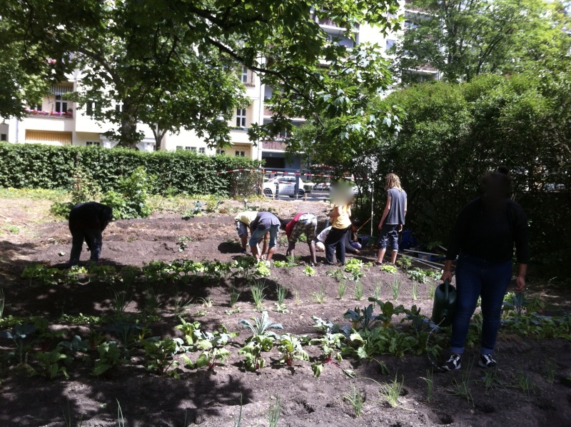 tatkräftiger Biologieunterricht im Schulgarten der Peter-Ustinov-Schule im SeeGarten_2017