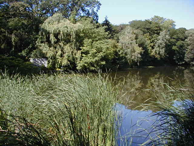 Der Koenigssee