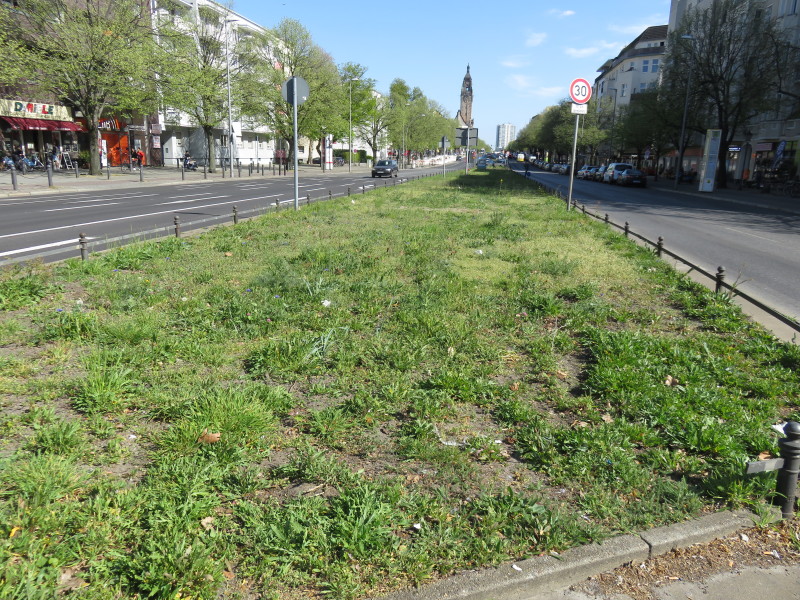 Bestäuberfläche in der Otto-Suhr-Allee im Frühjahr 2020