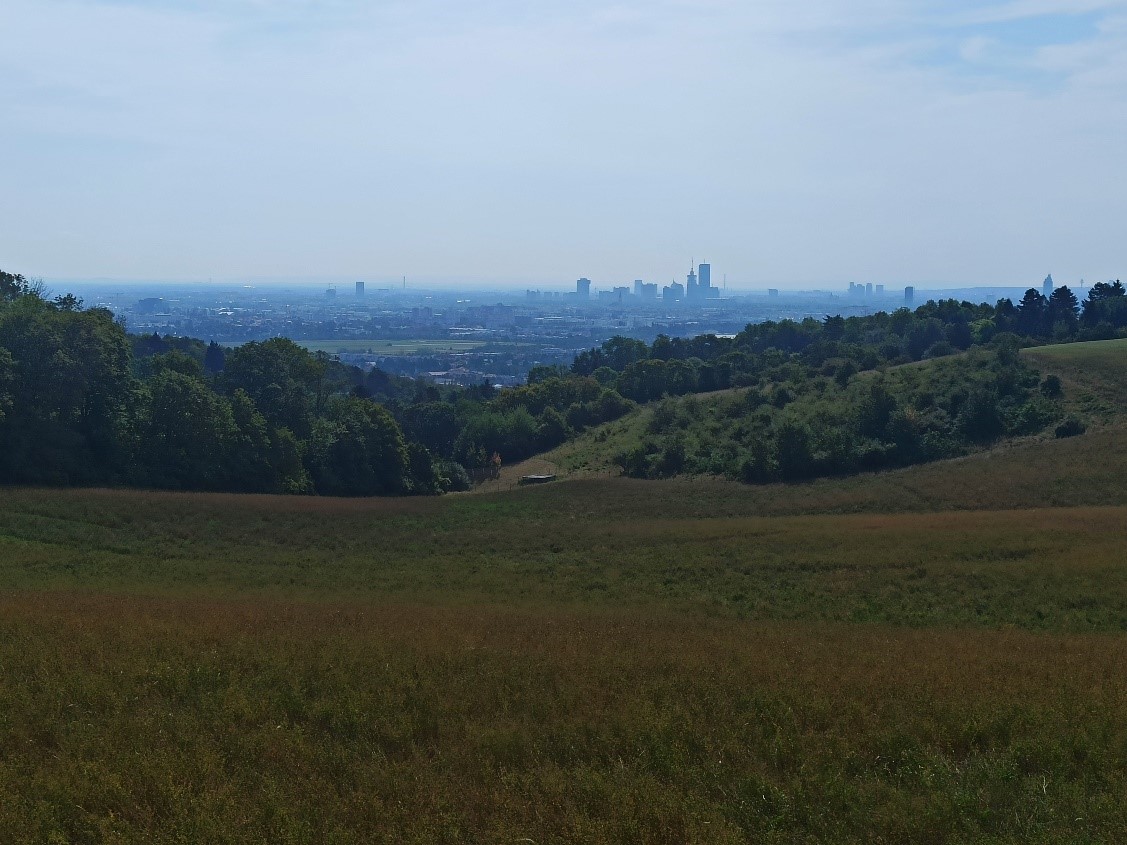 Ortstermin an der Grenze zu Niederösterreich, Blick vom Bisamberg auf Wien