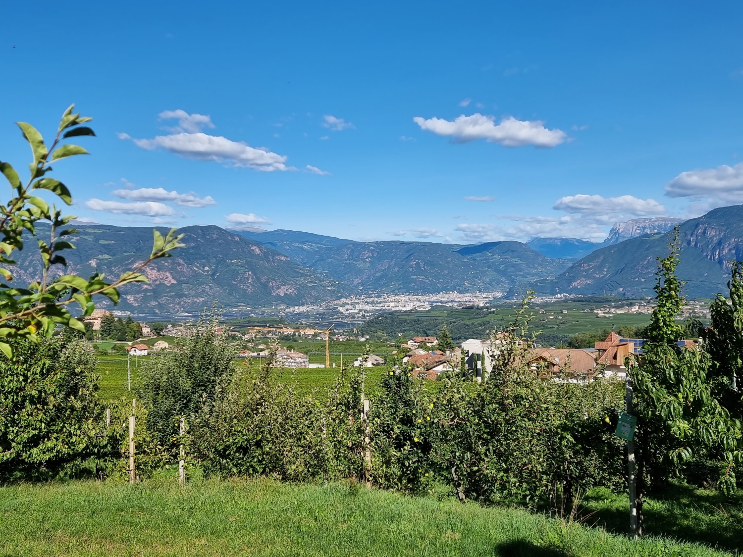 Blick auf Bozen, im Hintergrund die Dolomiten