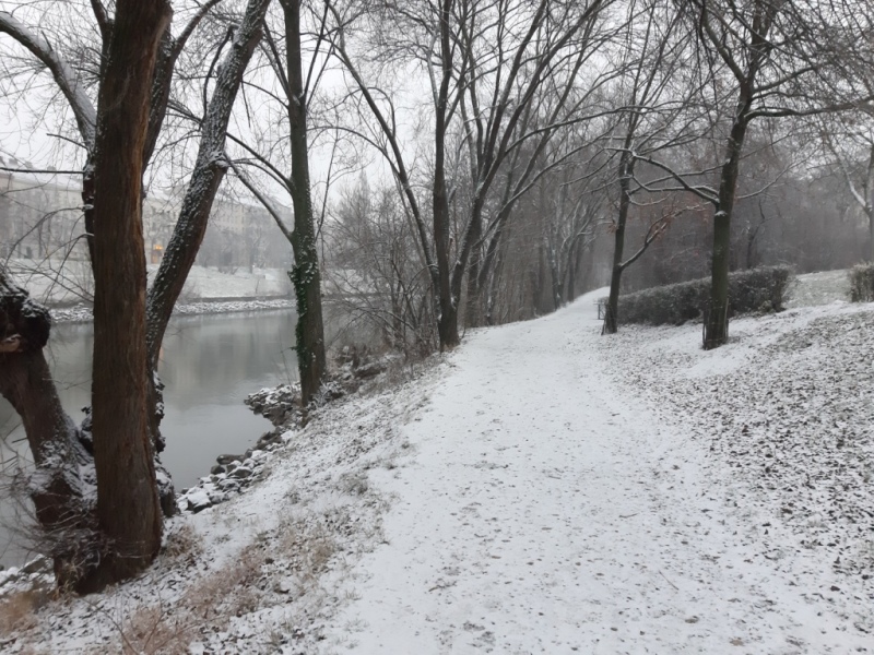 Winter am Donaukanal