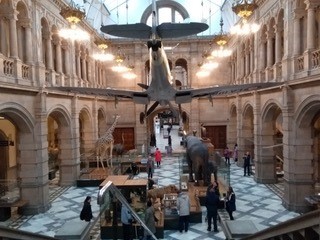 Im Kelvingrove Museum