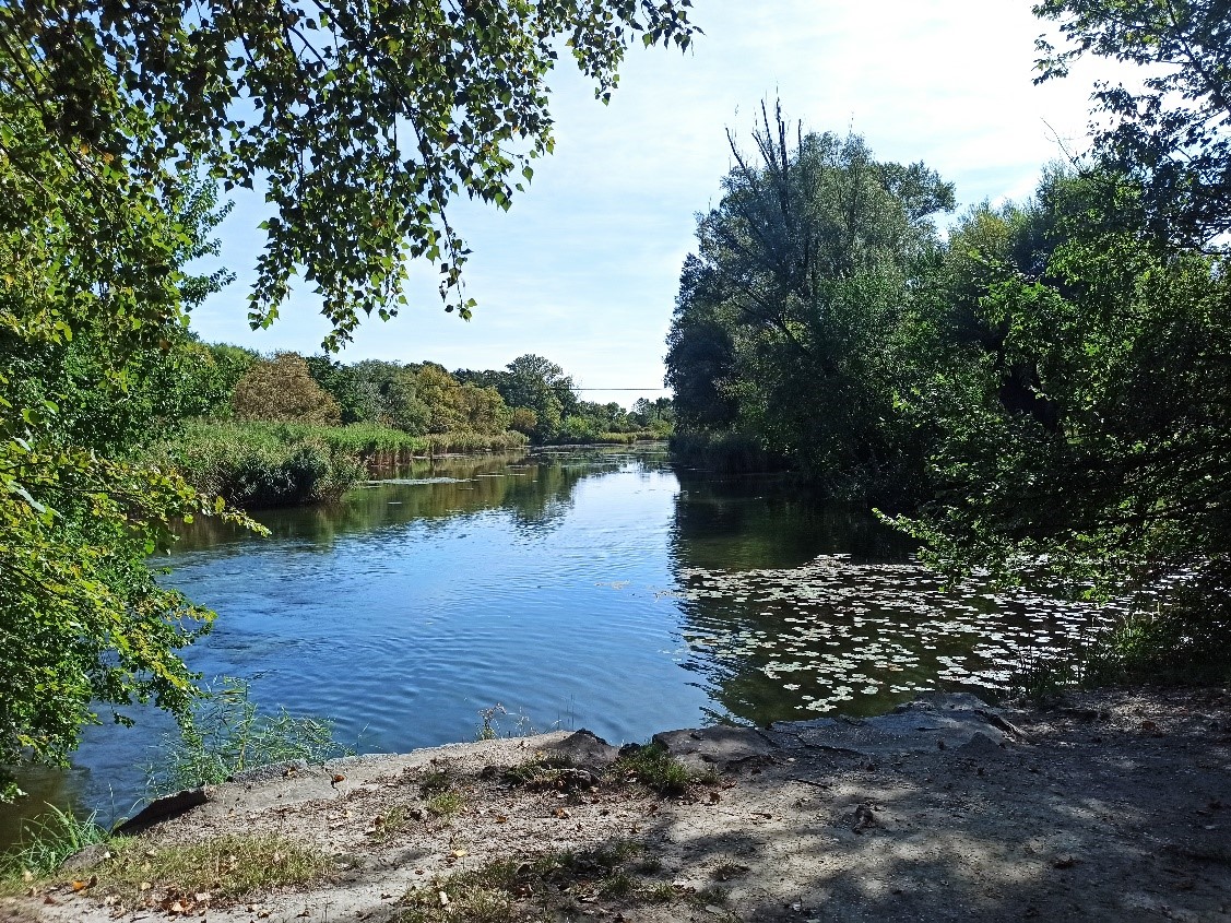 Mühlwasser im Nationalpark Donauauen