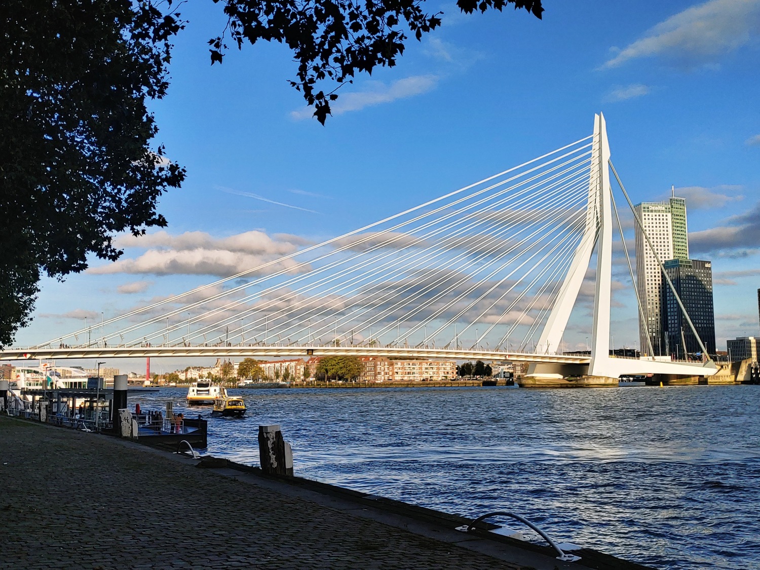 Brücke in Rotterdam