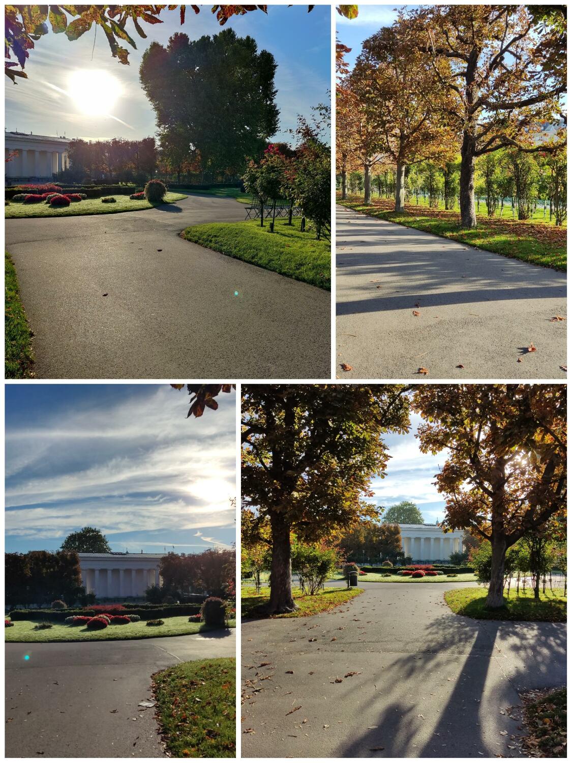 Volksgarten am Morgen (in der Nähe der Arbeitsstätte)